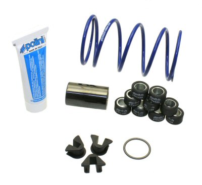 Polini Variator Kit for Vespa GTS