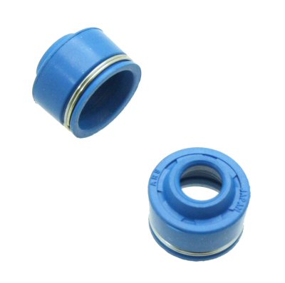 SSP-G Viton Valve Seals